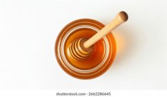 养殖技术咨询与售后支持